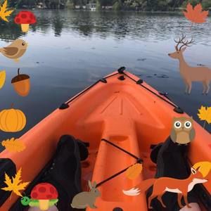 Meet your Posher, Dawn